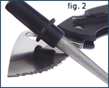 Fig_2